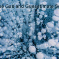 Greenhouse Gas and Guesstimate Science